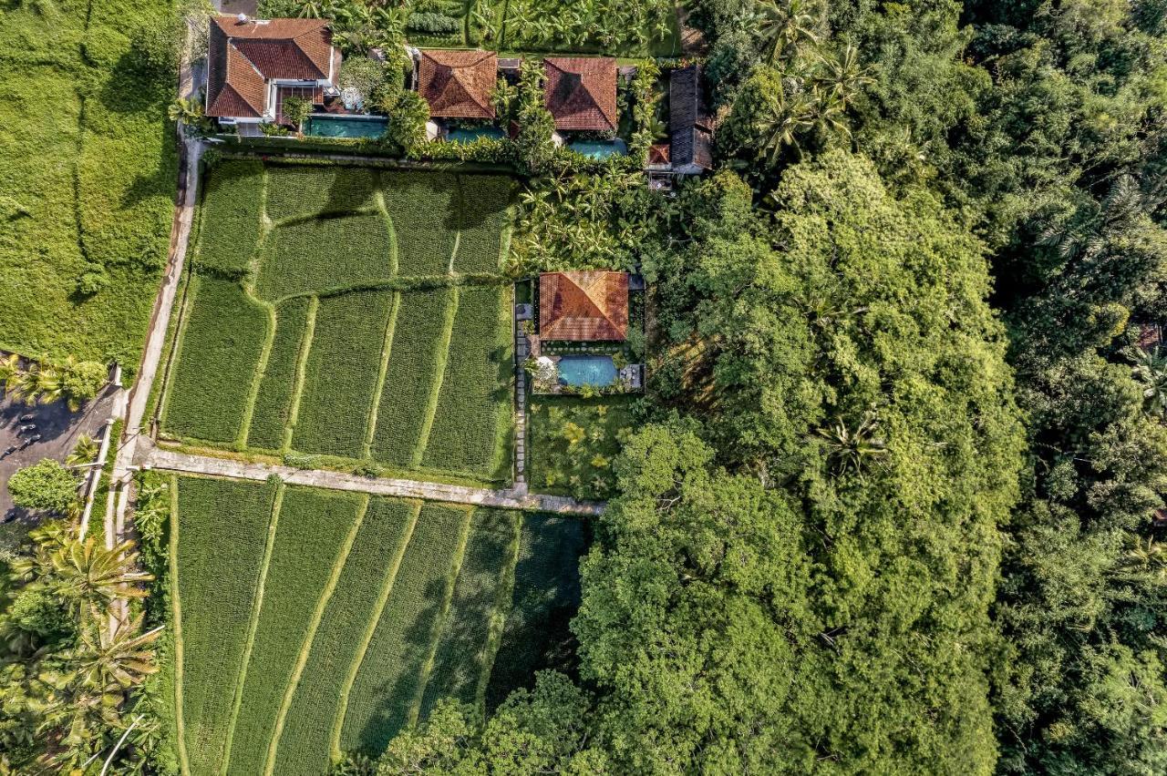 Ratni Ubud Villa Екстер'єр фото